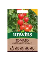 Unwins Tomato - (Salad) Maisey F1