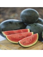 Unwins Watermelon - Little Darling F1