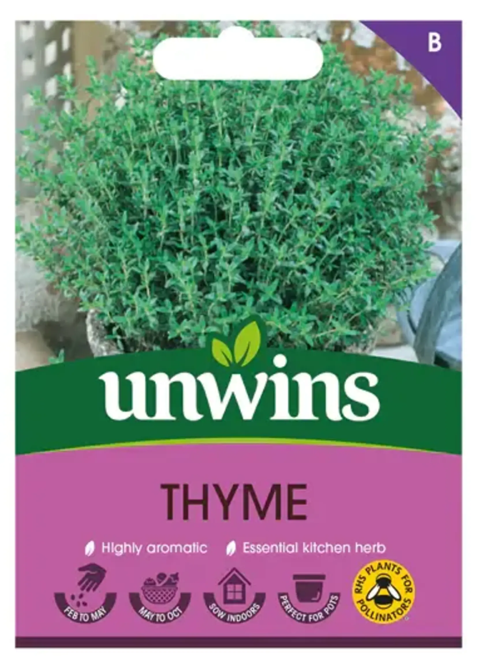 Unwins Herb - Thyme