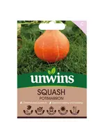 Unwins Squash - Potimarron