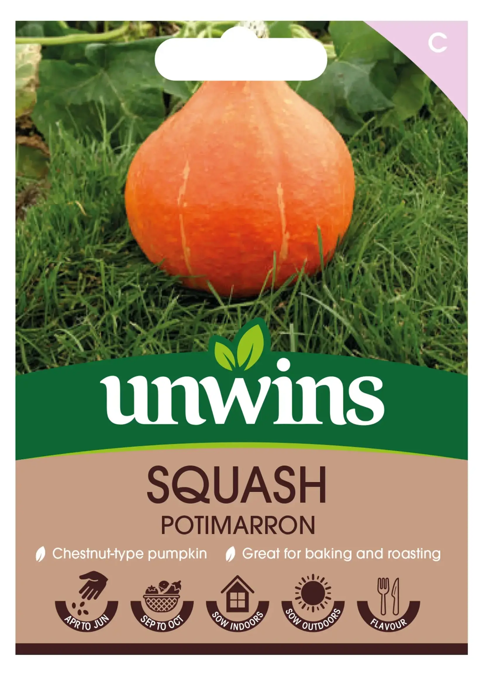 Unwins Squash - Potimarron