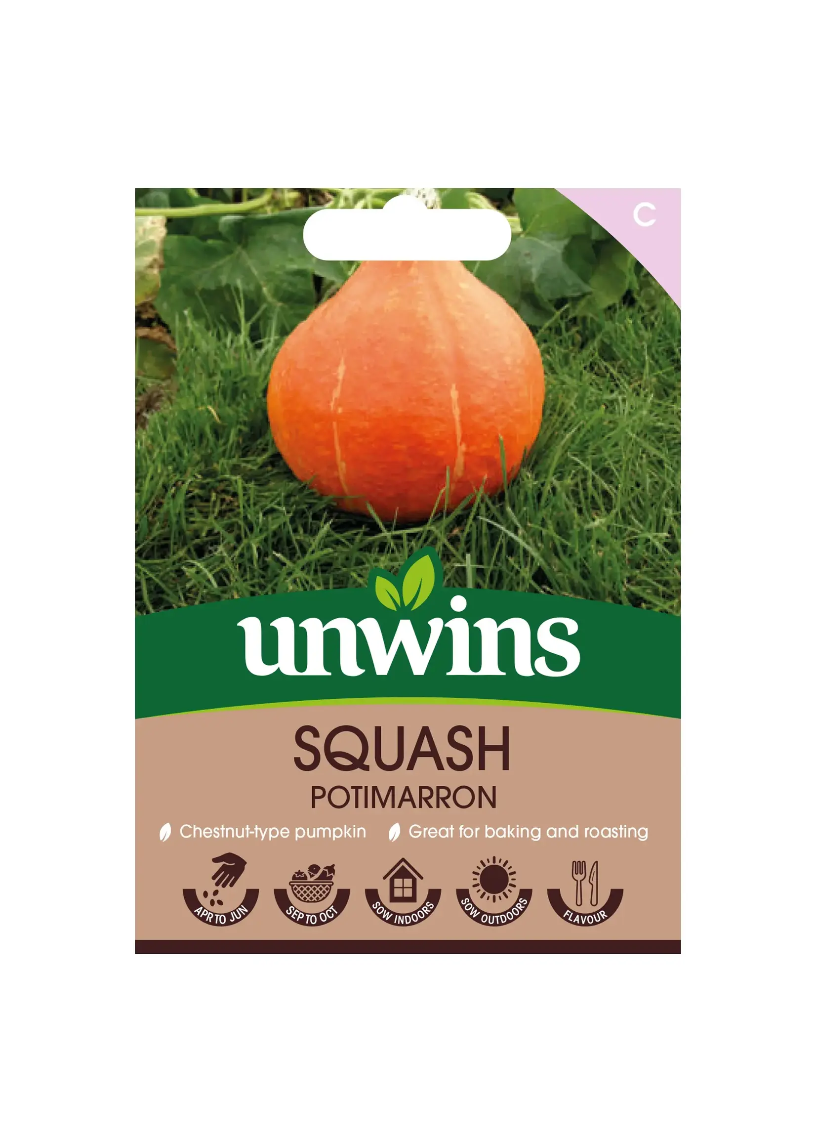 Unwins Squash - Potimarron