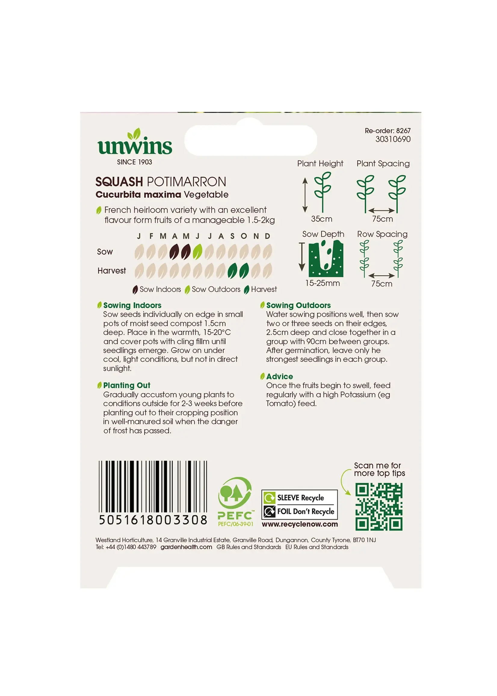 Unwins Squash - Potimarron