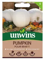 Unwins Pumpkin - Polar Bear F1