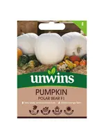 Unwins Pumpkin - Polar Bear F1