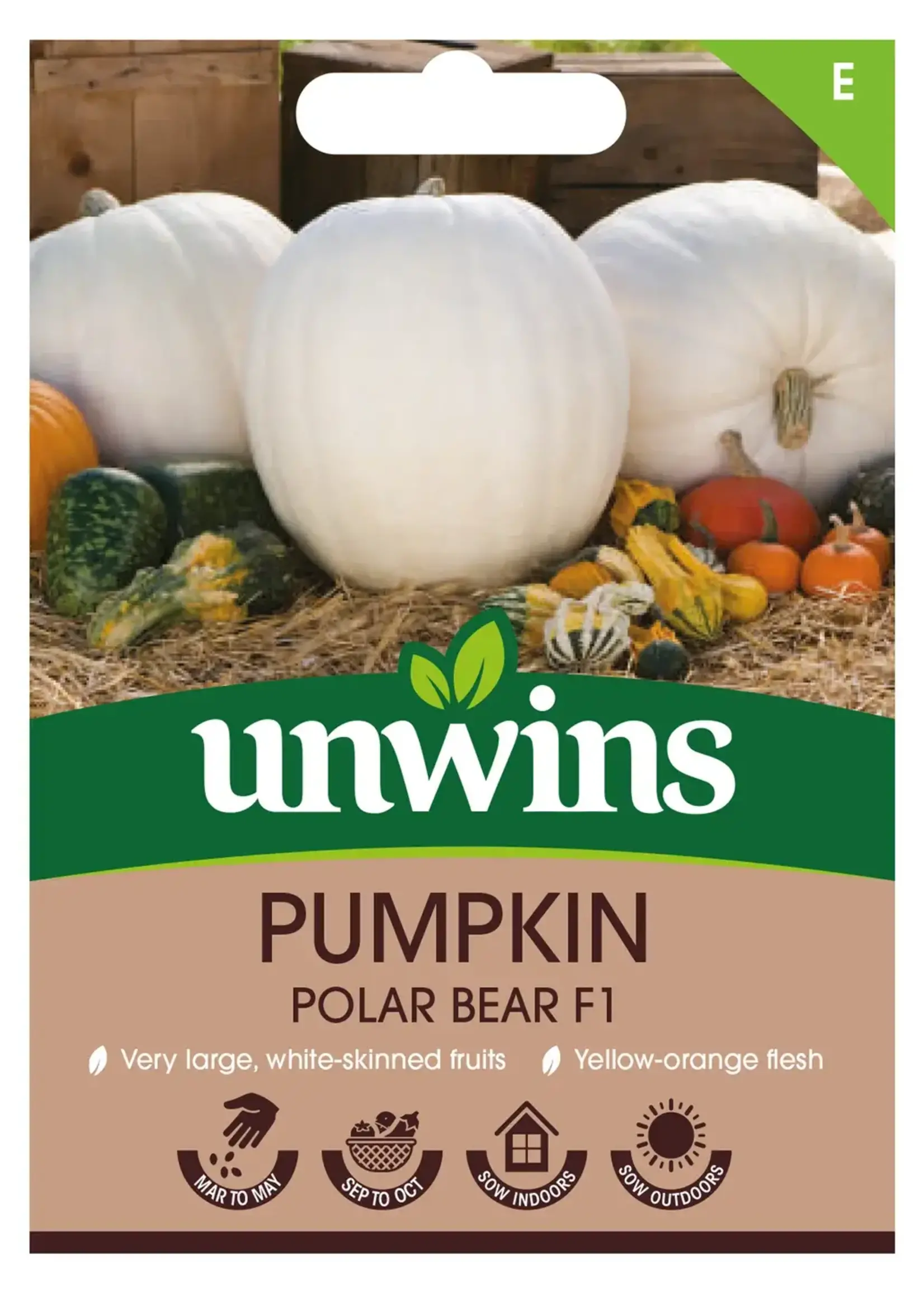 Unwins Pumpkin - Polar Bear F1