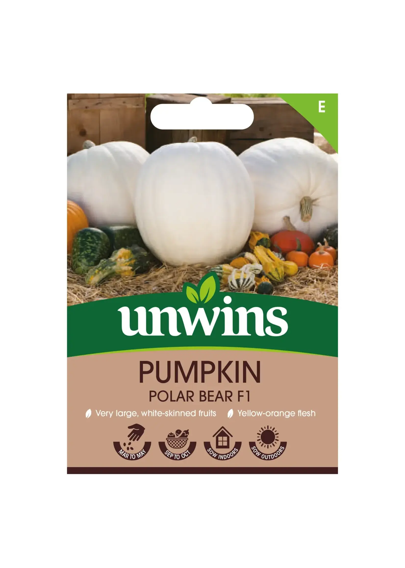 Unwins Pumpkin - Polar Bear F1