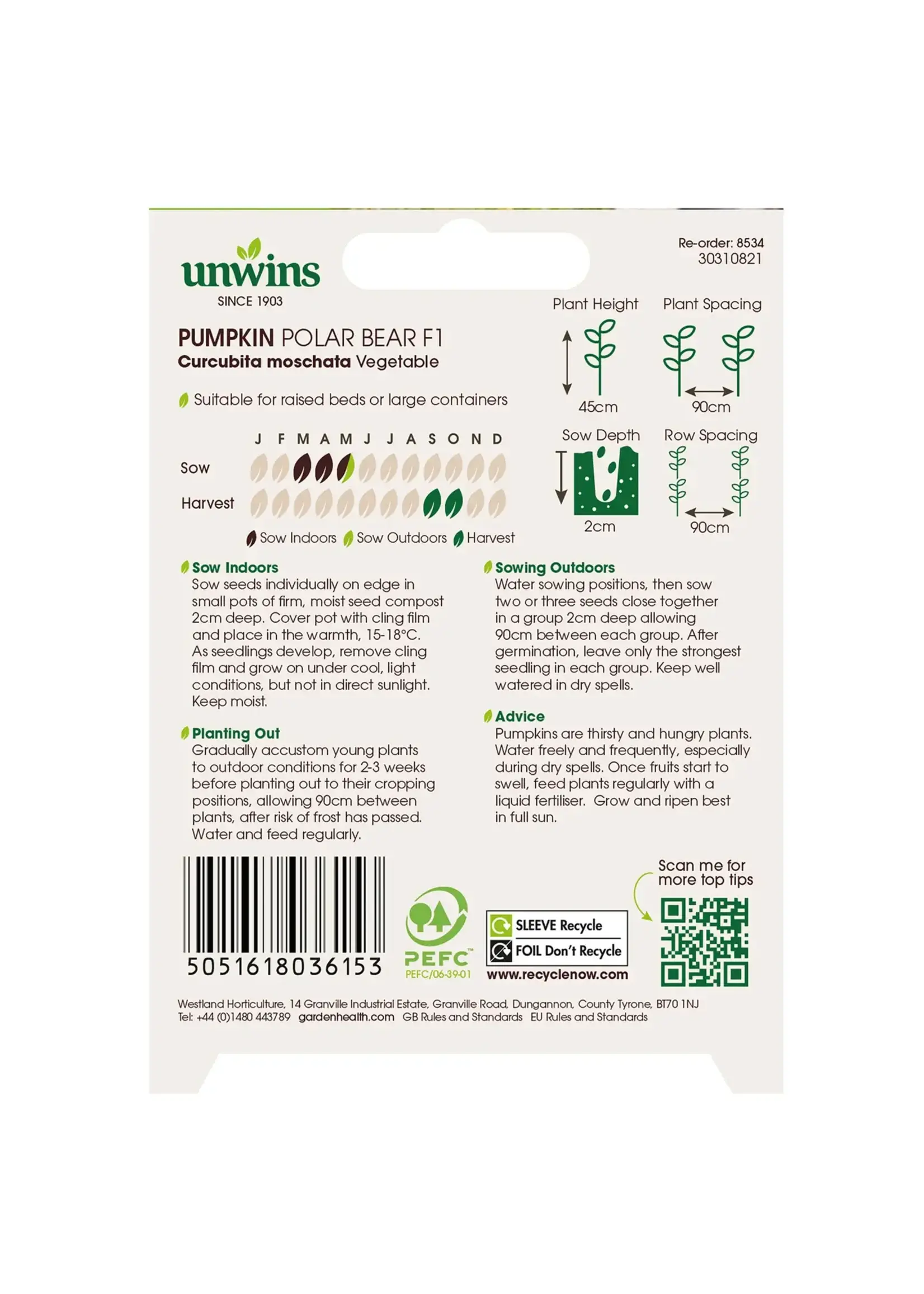 Unwins Pumpkin - Polar Bear F1