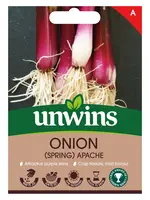 Unwins Onion - Spring Apache