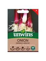 Unwins Onion - Spring Apache