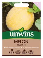 Unwins Melon - Arava F1