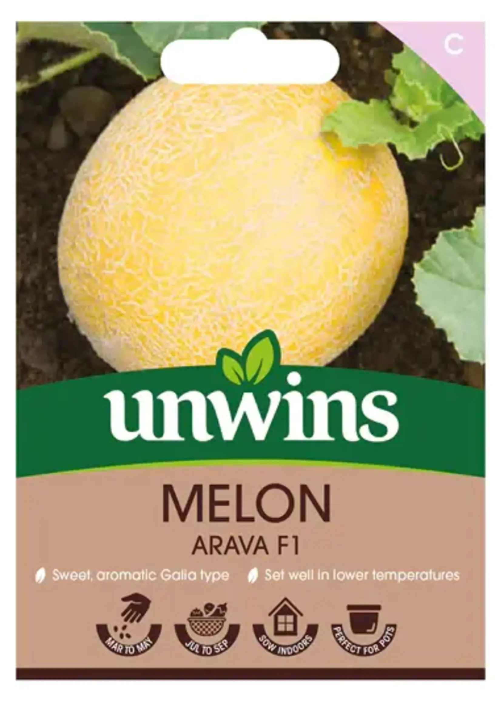 Unwins Melon - Arava F1