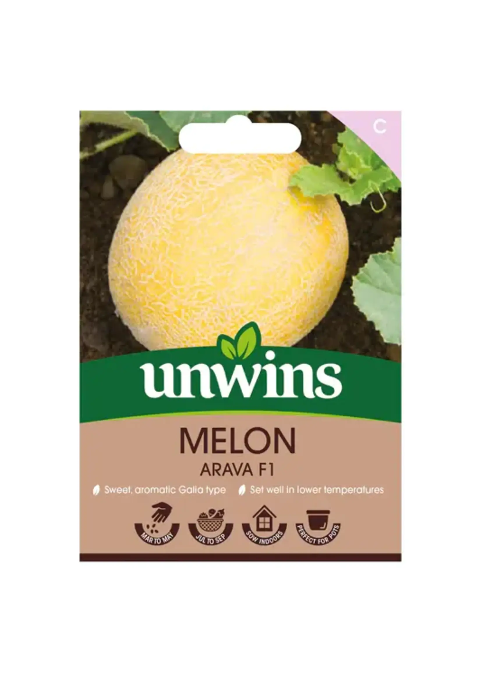 Unwins Melon - Arava F1