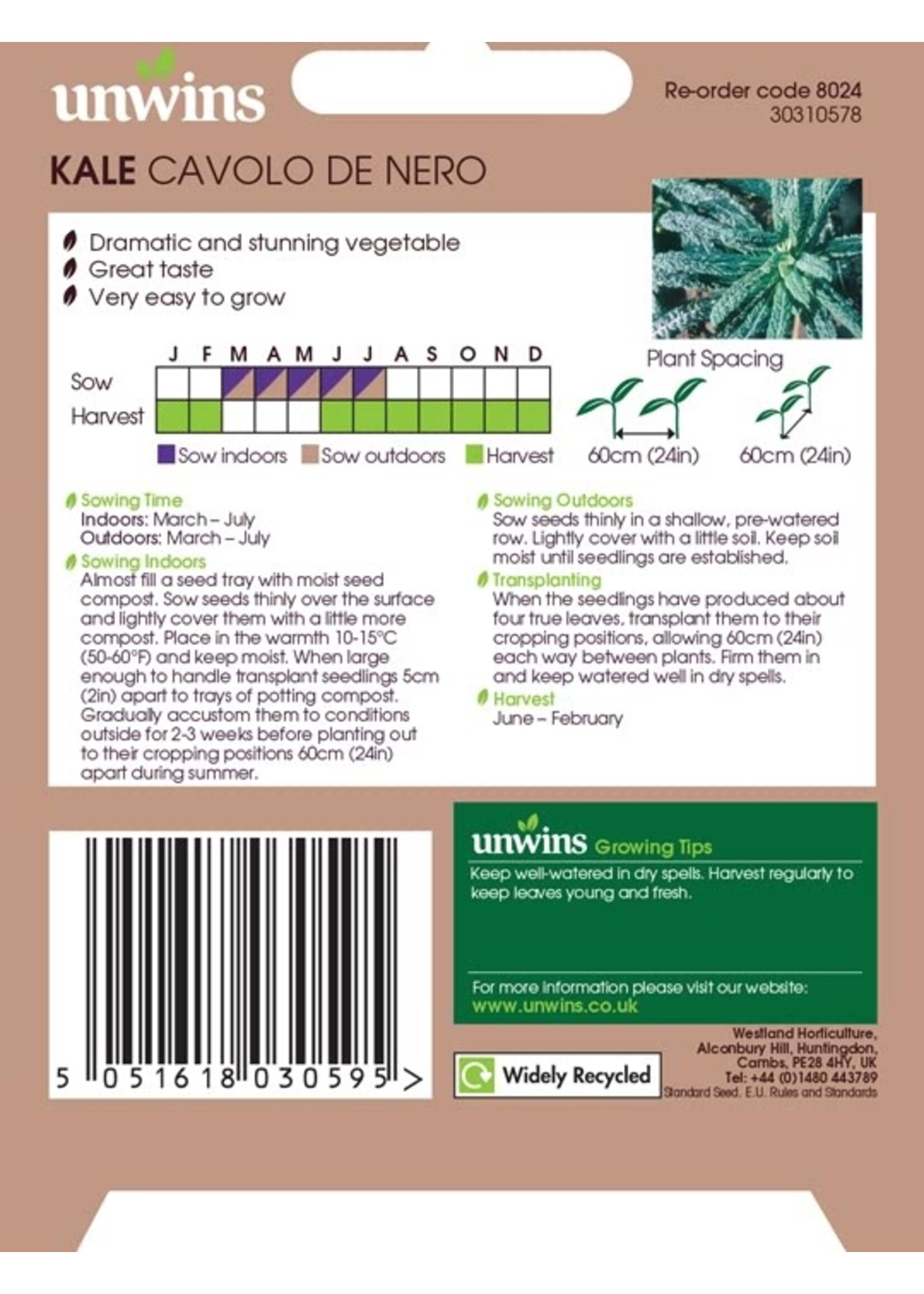 Unwins Kale - Cavolo De Nero