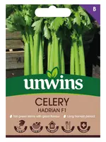 Unwins Celery - Hadrian F1