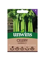 Unwins Celery - Hadrian F1