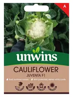 Unwins Cauliflower - Juventa F1