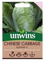 Unwins Chinese Cabbage - Questar F1