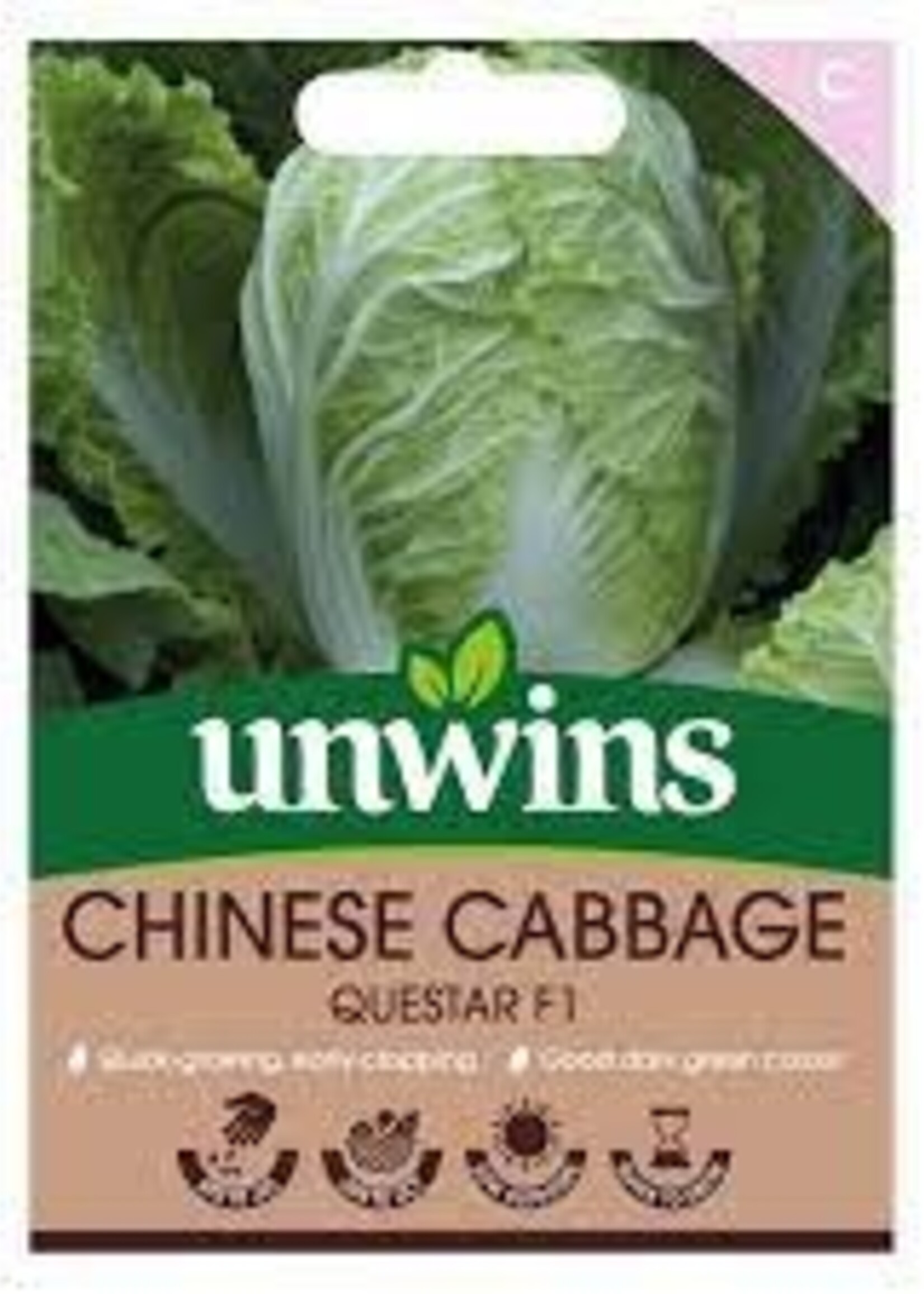 Unwins Chinese Cabbage - Questar F1