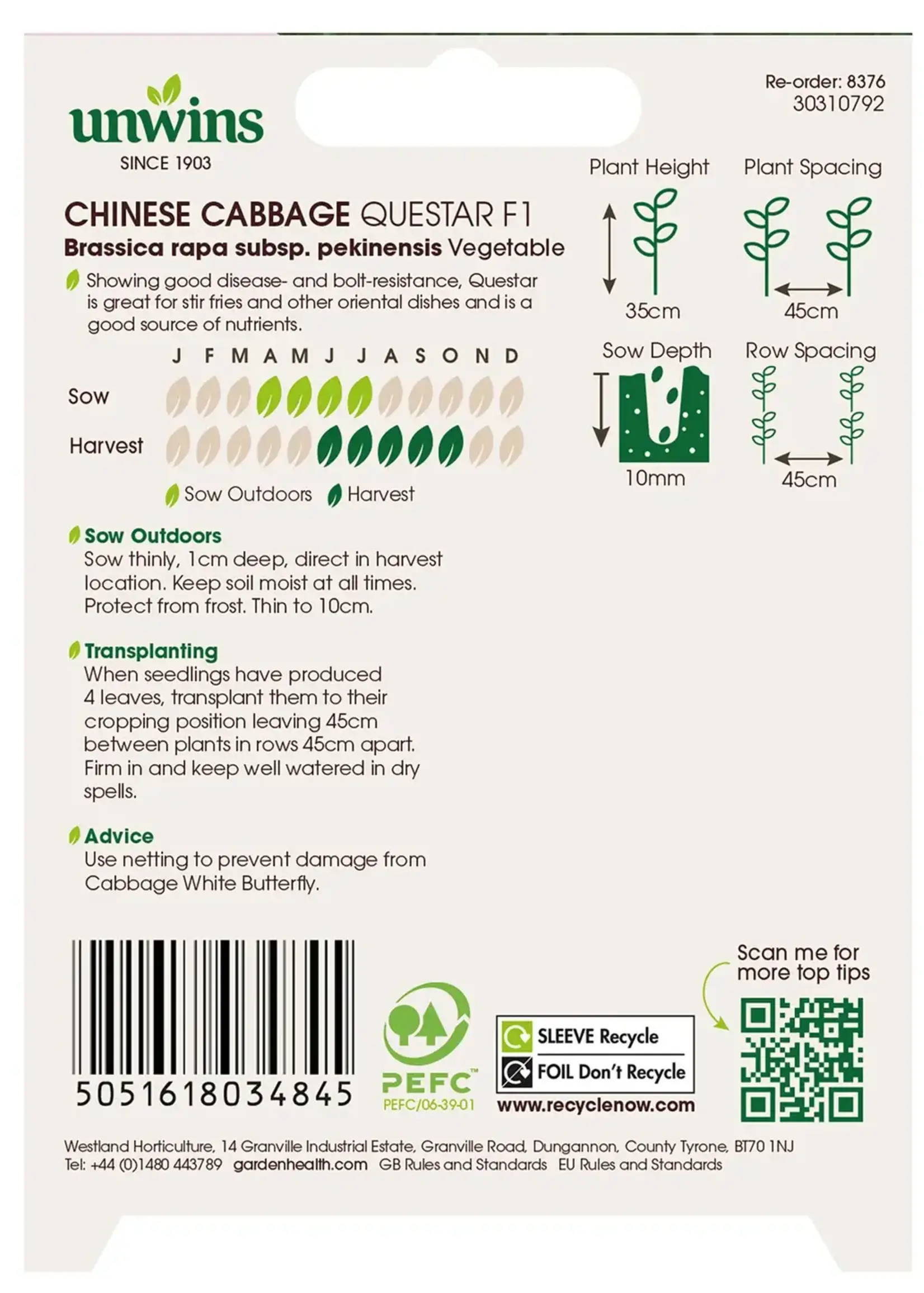 Unwins Chinese Cabbage - Questar F1