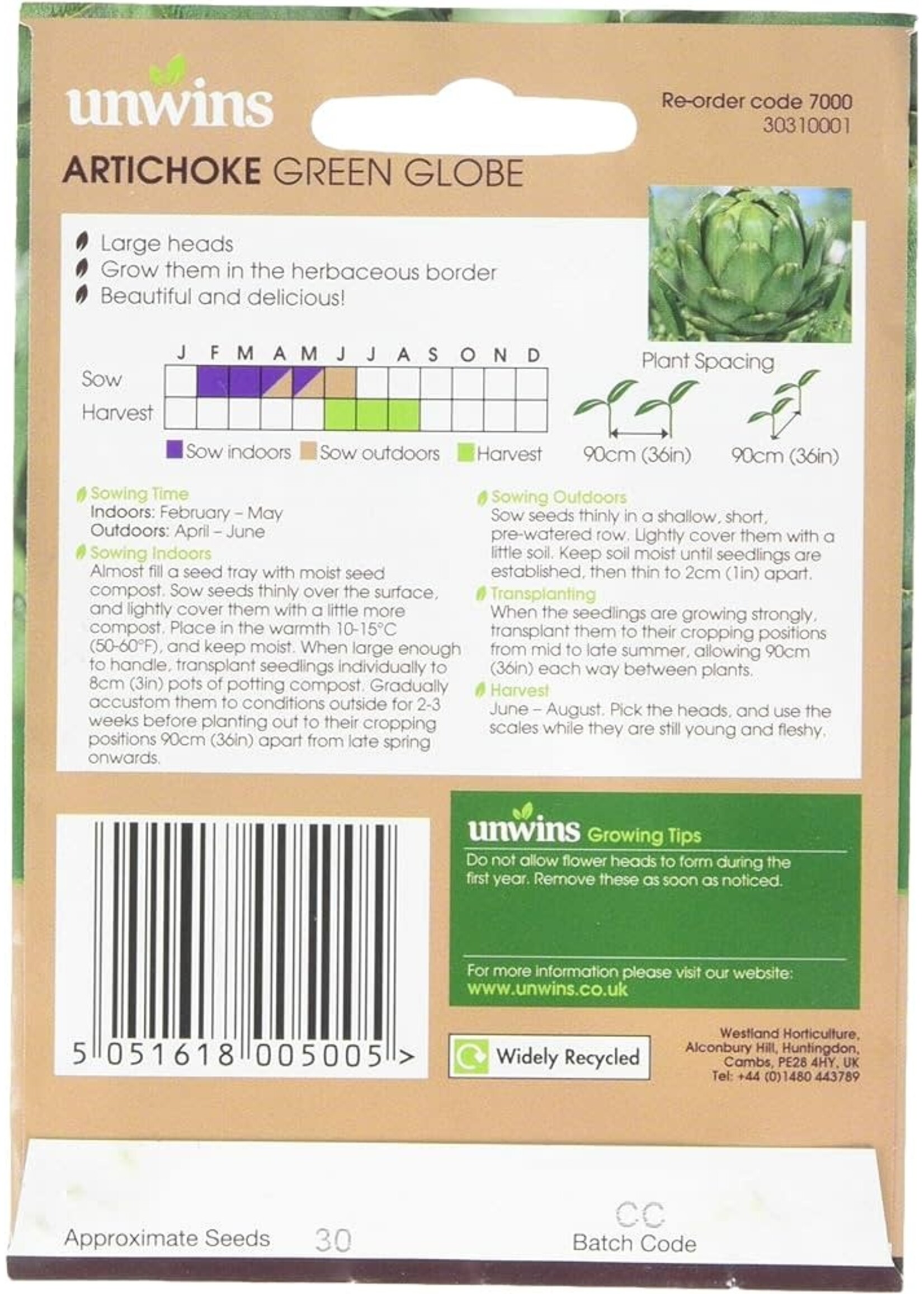 Unwins Artichoke - Green Globe