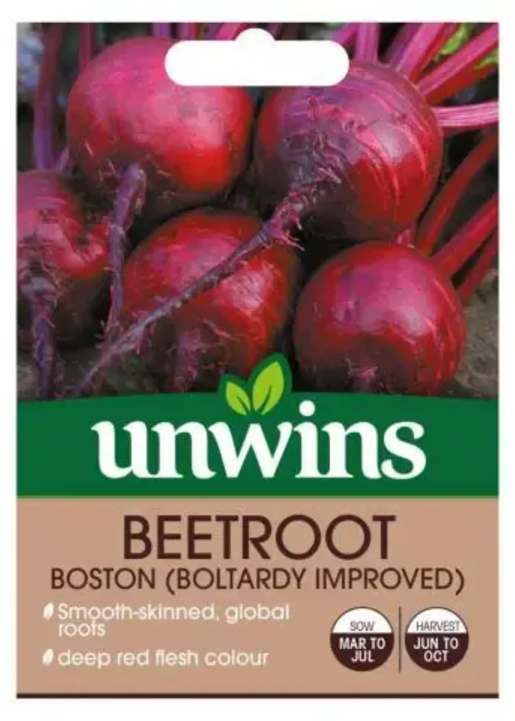 Unwins Beetroot - Boston (Boltardy Improved)