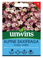 Unwins Alpine Saxifraga - Floral Carpet