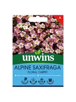 Unwins Alpine Saxifraga - Floral Carpet