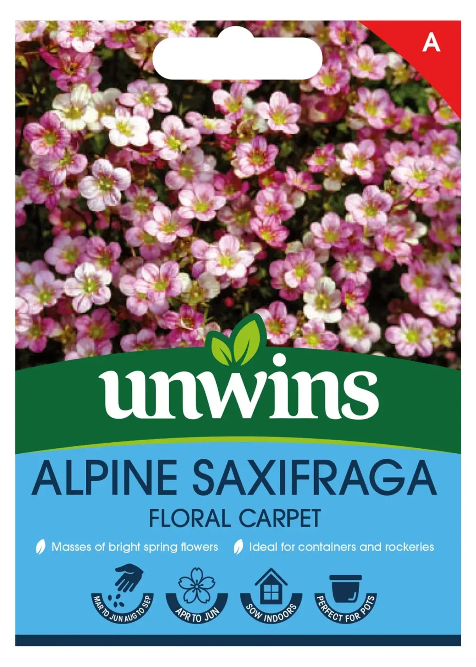 Unwins Alpine Saxifraga - Floral Carpet