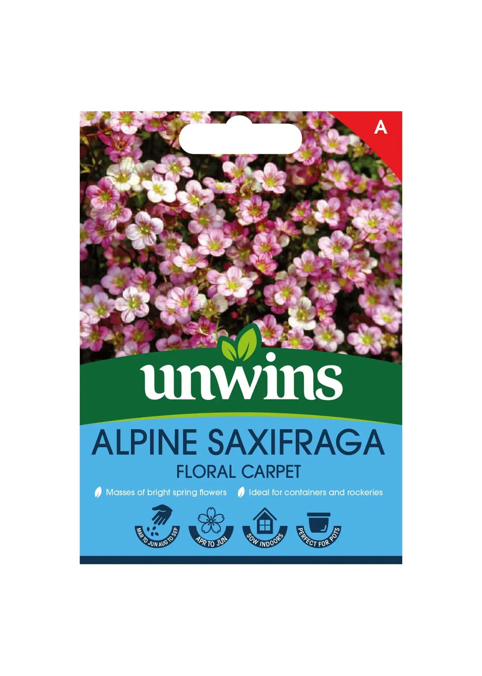 Unwins Alpine Saxifraga - Floral Carpet
