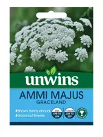 Unwins Ammi Majus - Graceland