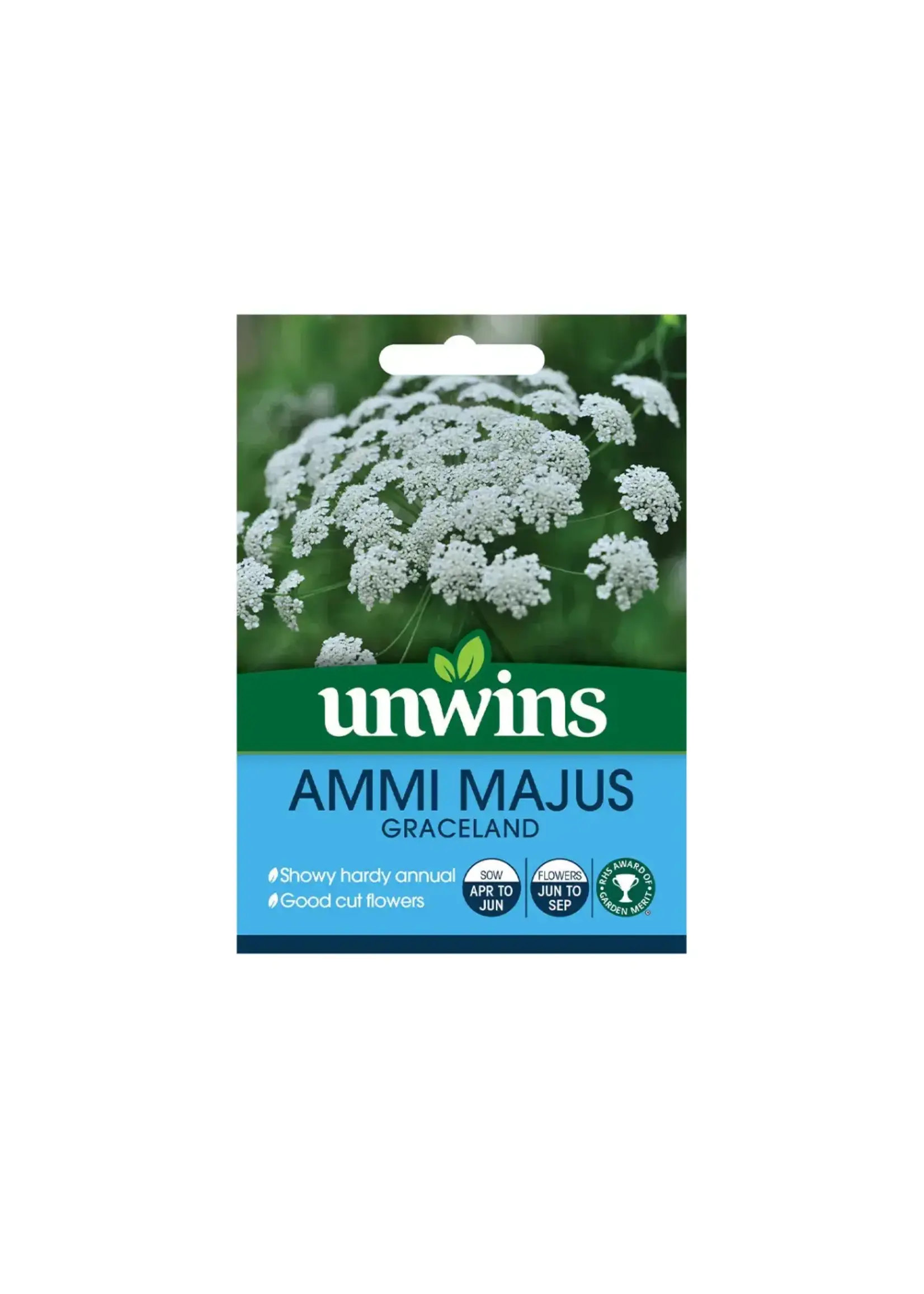 Unwins Ammi Majus - Graceland
