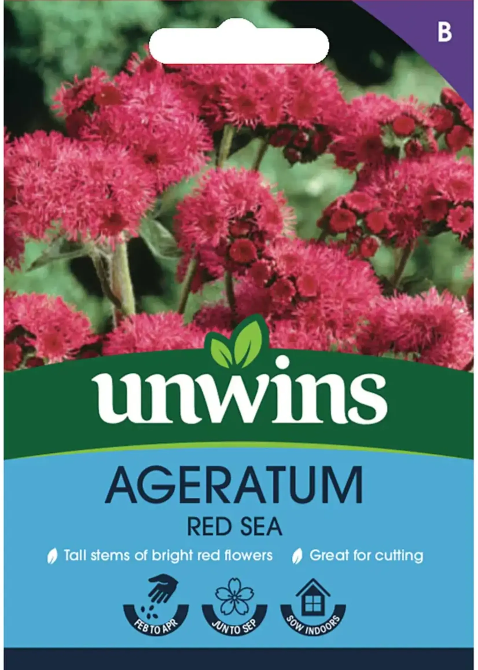 Unwins Ageratum -  Red Sea