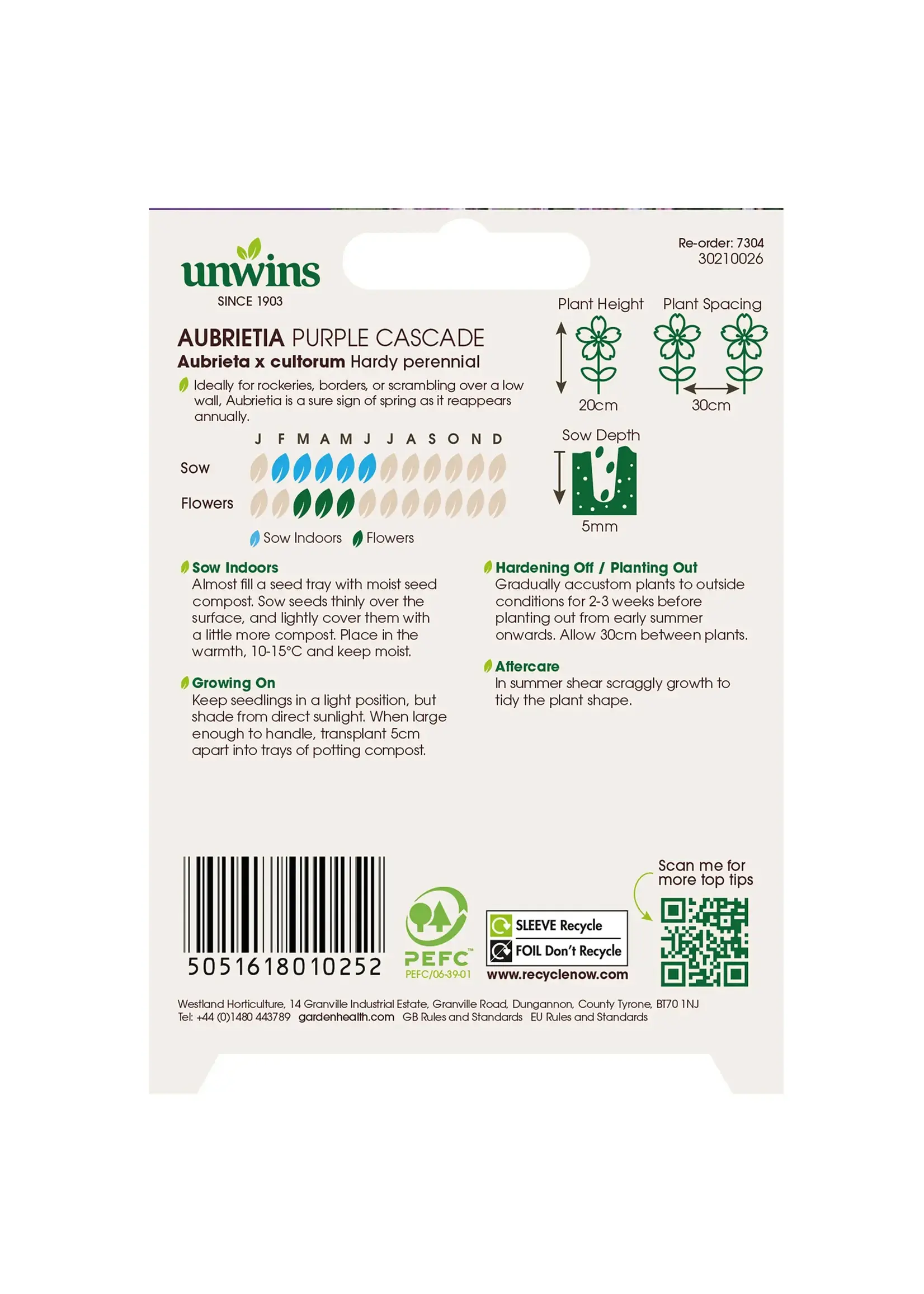 Unwins Aubrietia - Purple Cascade