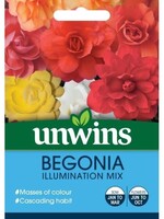 Unwins Begonia - Illumination Mix