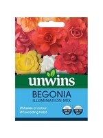 Unwins Begonia - Illumination Mix