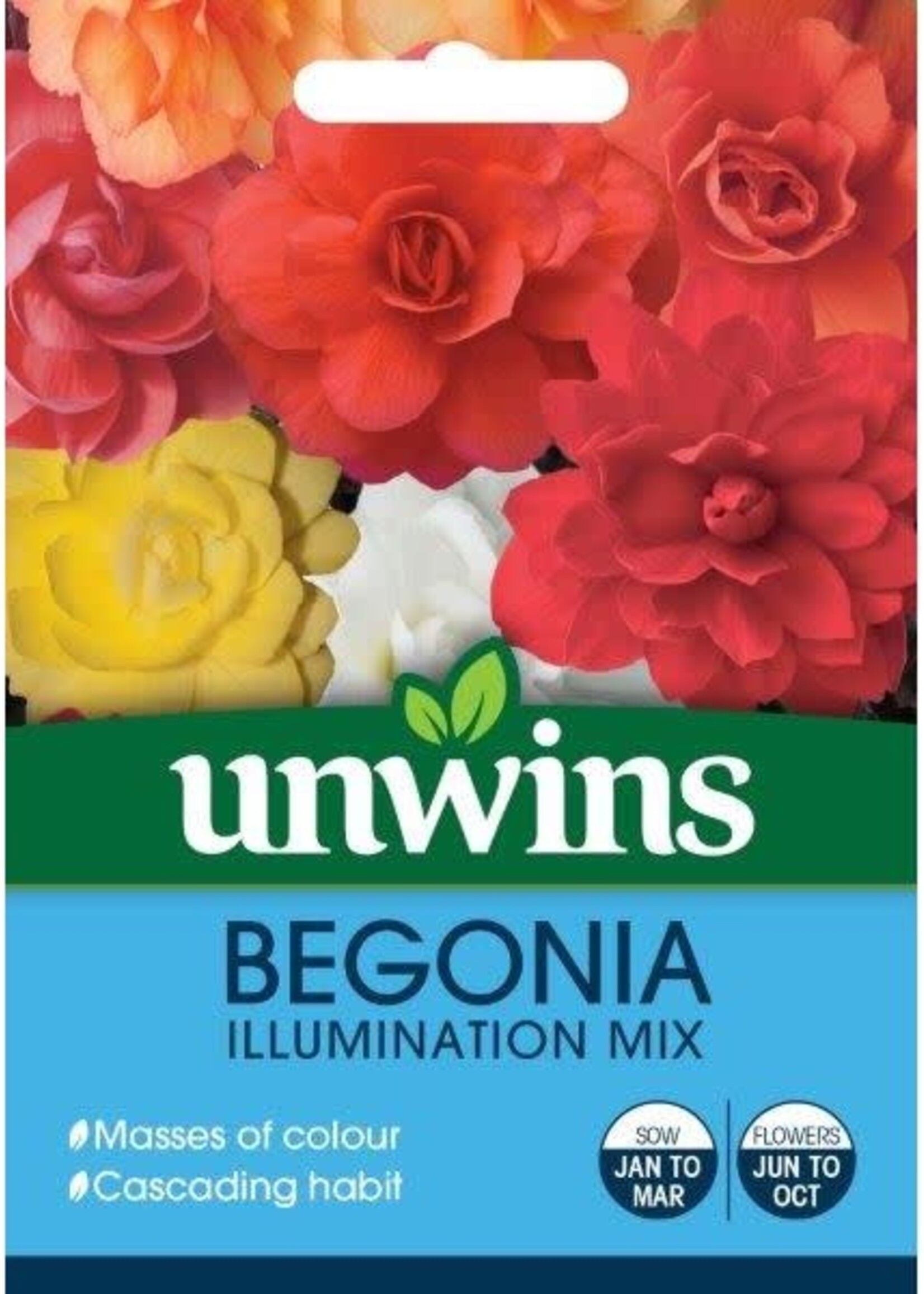 Unwins Begonia - Illumination Mix