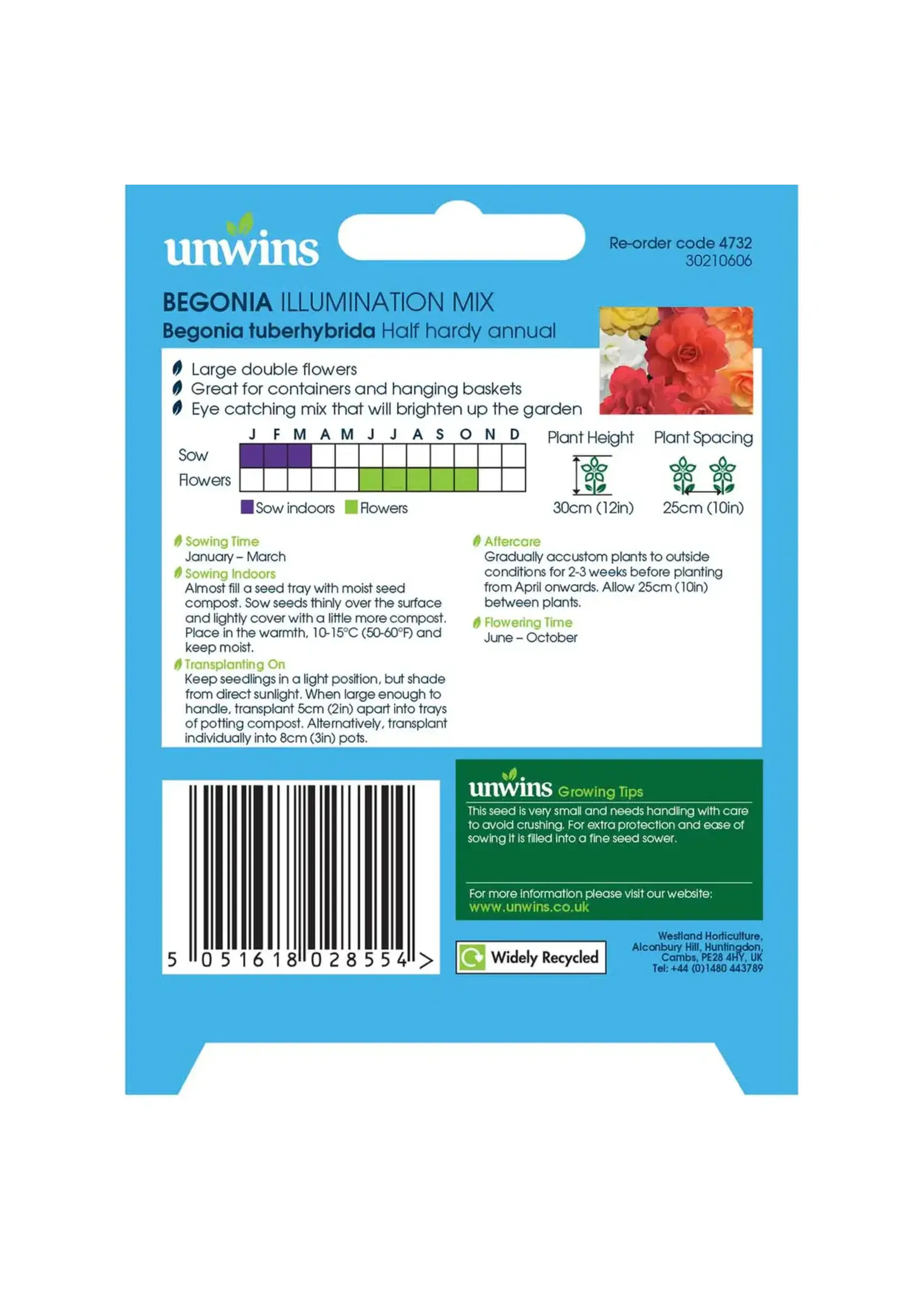 Unwins Begonia - Illumination Mix