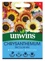 Unwins Chrysanthemum - Tricolour Mix