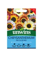 Unwins Chrysanthemum - Tricolour Mix