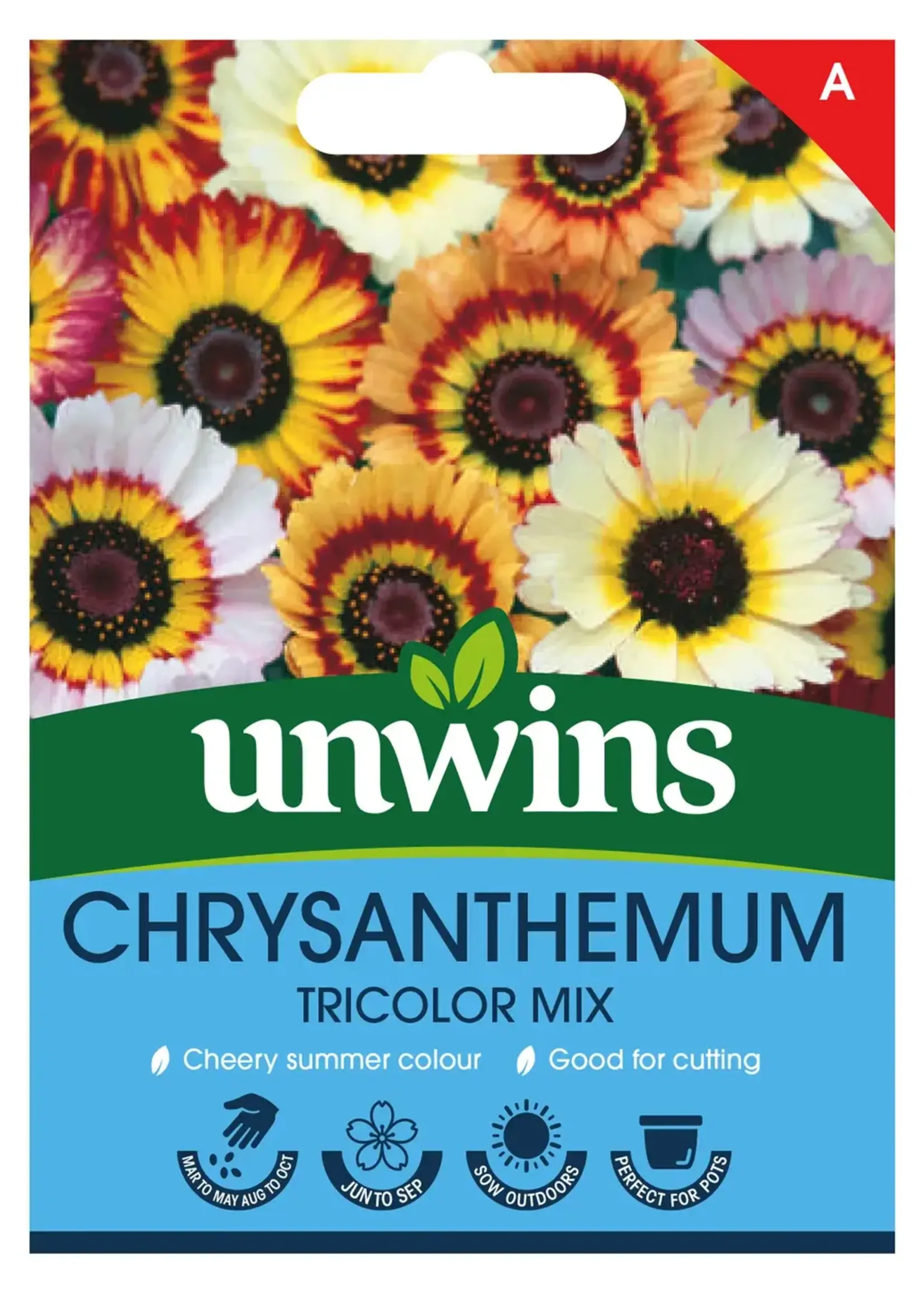 Unwins Chrysanthemum - Tricolour Mix