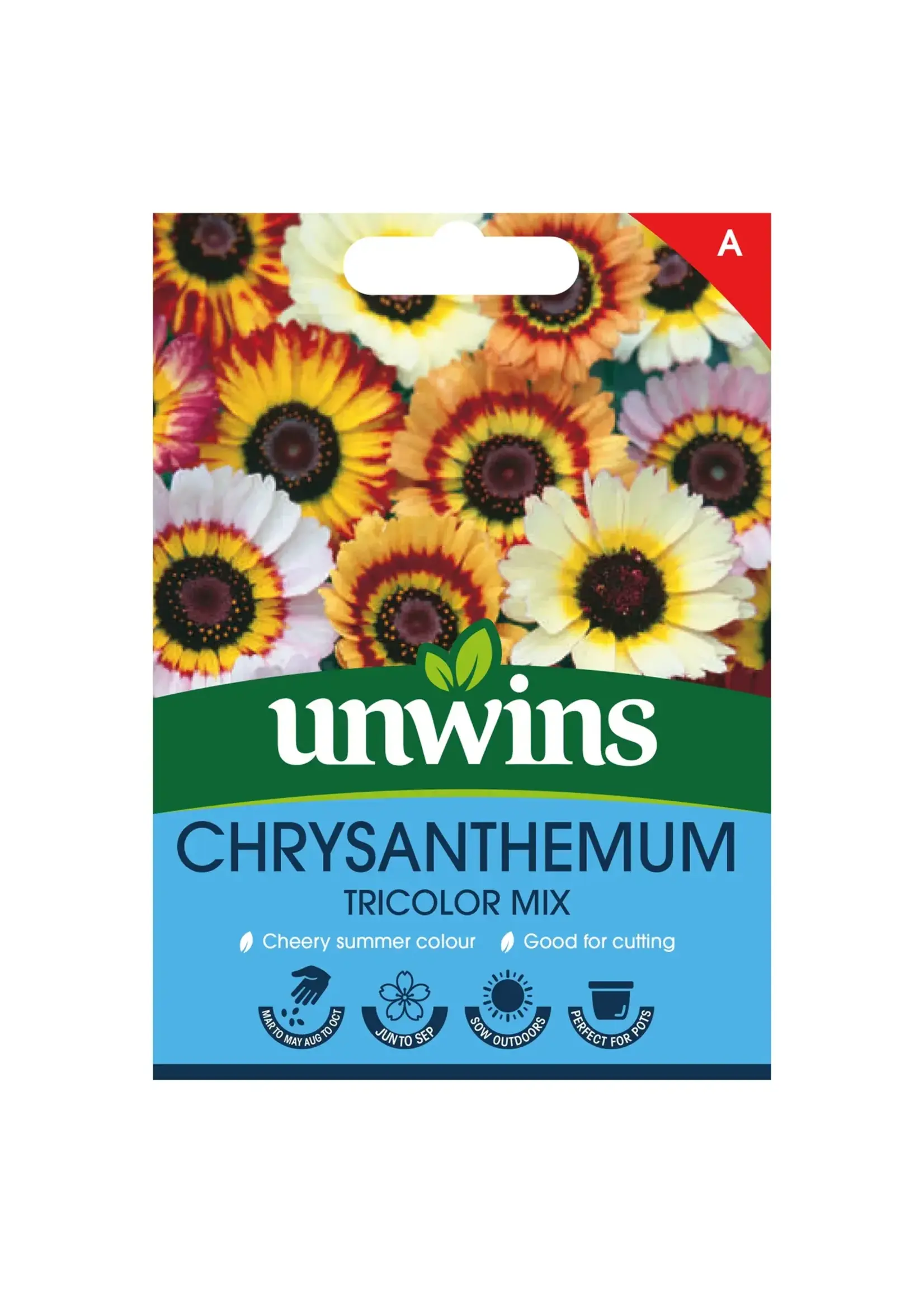 Unwins Chrysanthemum - Tricolour Mix
