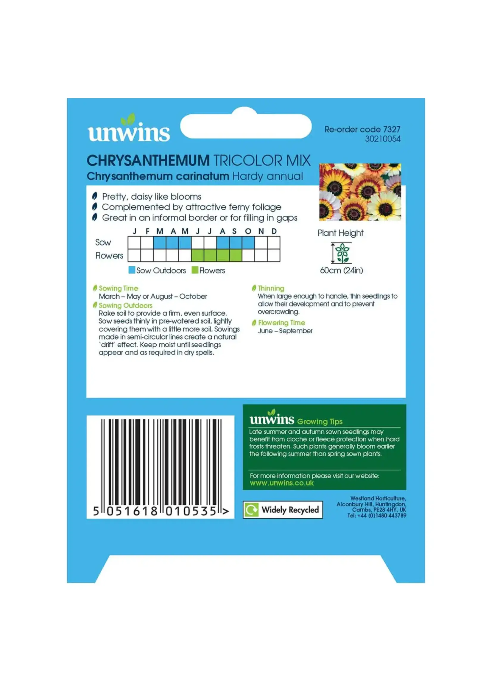 Unwins Chrysanthemum - Tricolour Mix