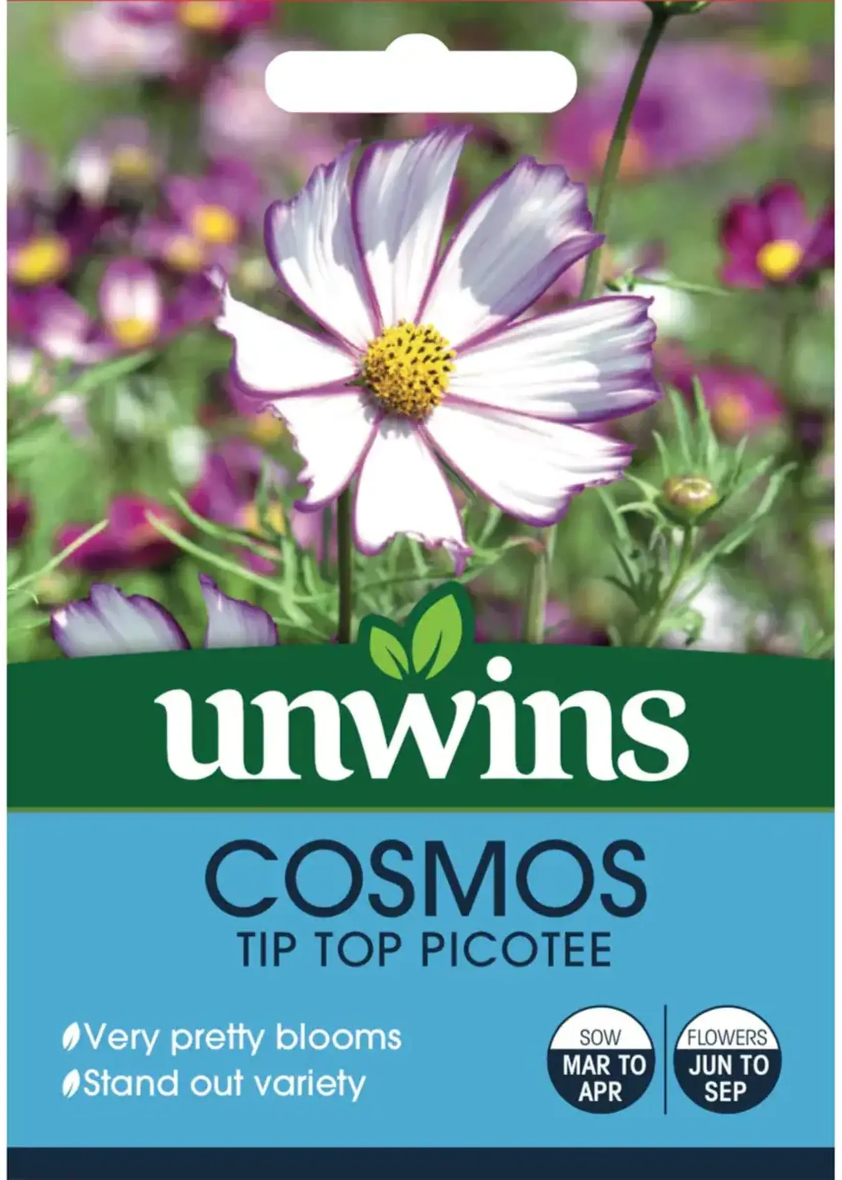 Unwins Cosmos - Tip Top Picotree