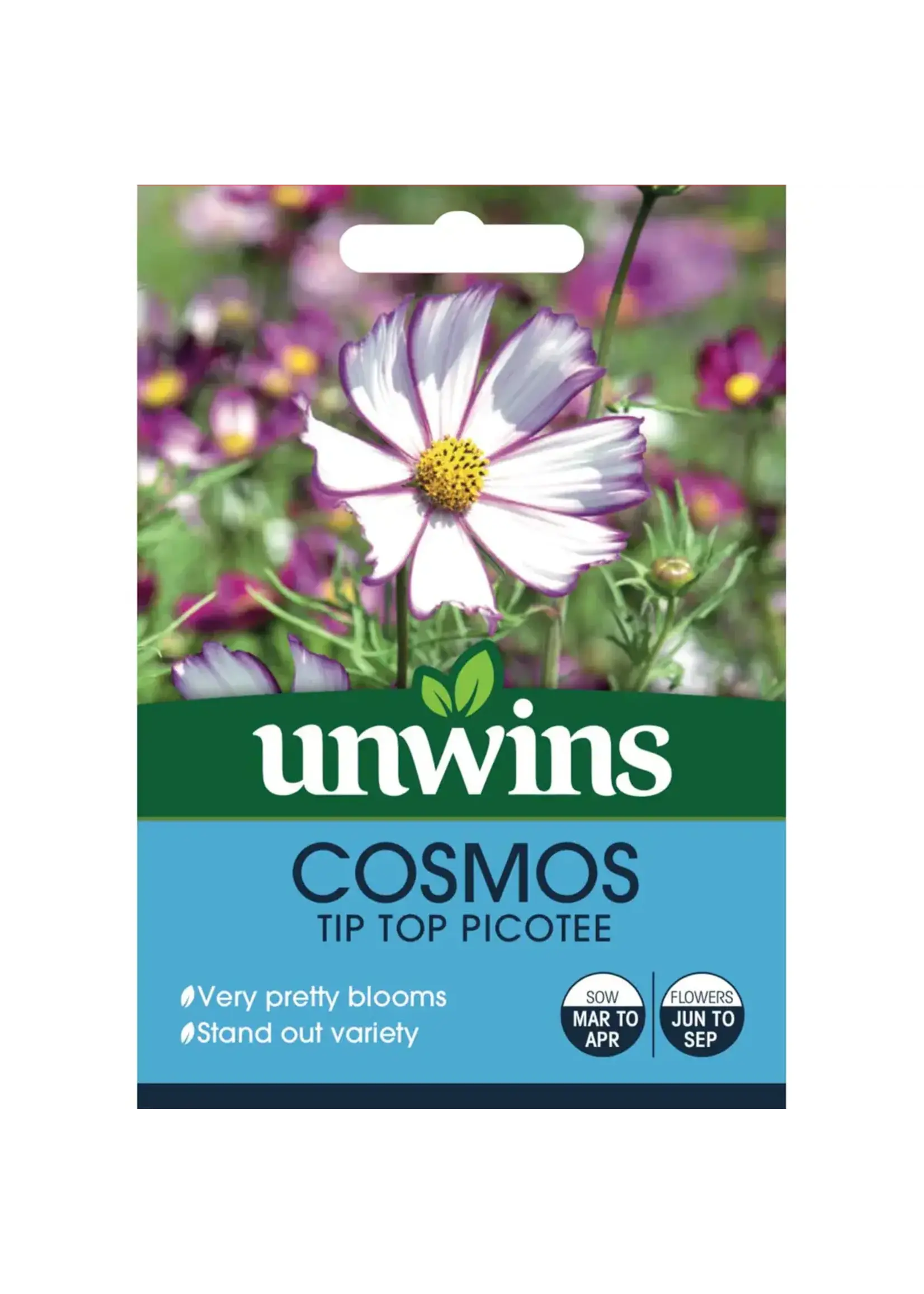 Unwins Cosmos - Tip Top Picotee