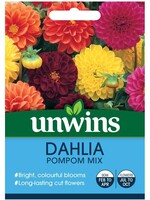 Unwins Dahlia - Pompom Mix