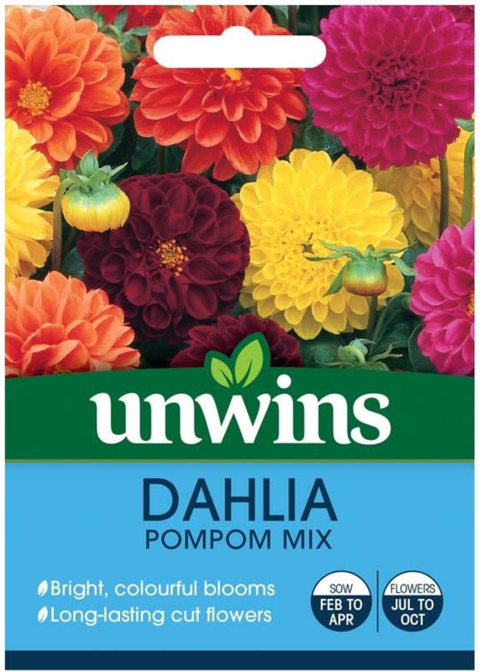 Unwins Dahlia - Pompom Mix