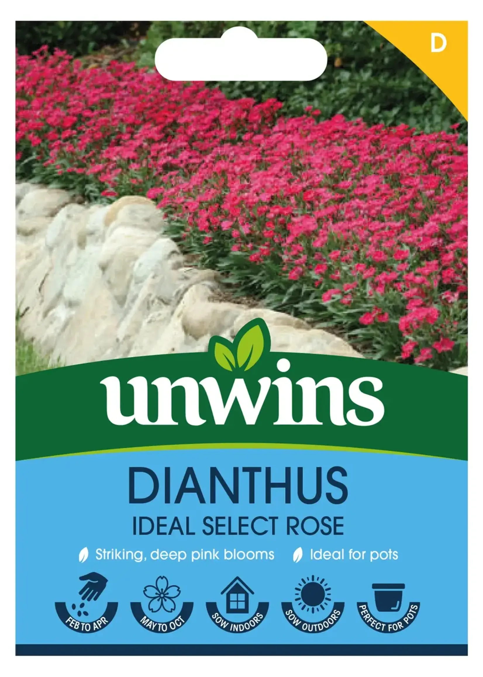 Unwins Dianthus - Ideal Select Rose