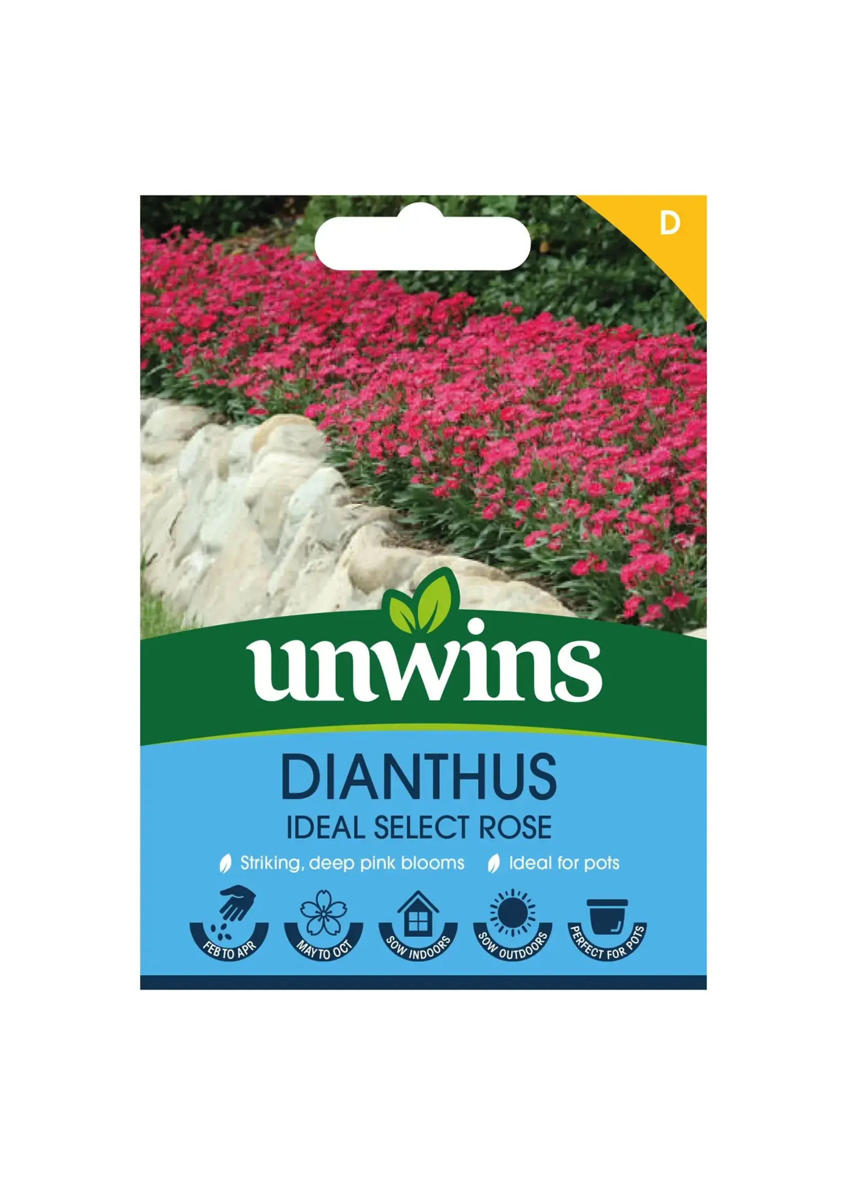 Unwins Dianthus - Ideal Select Rose