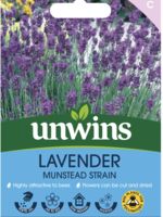 Unwins Lavender - Munstead Strain